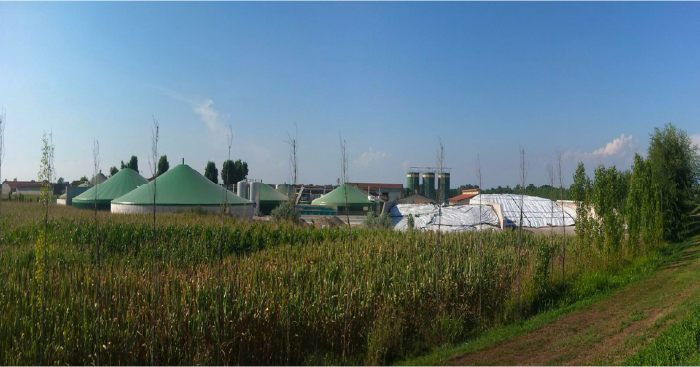 Planta Biogás
